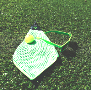 Malibu Sunglasses - Image 11